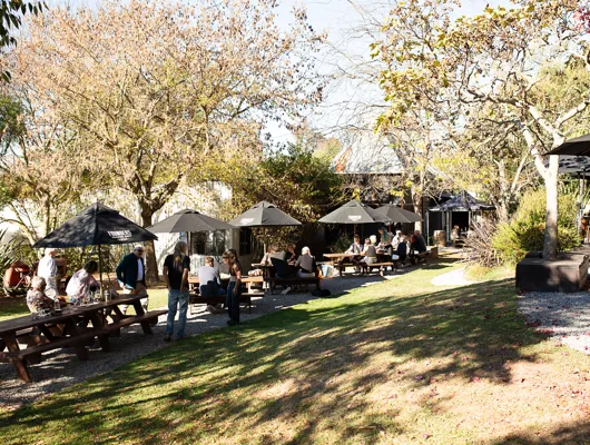 New Zealand winery experiences mum will love