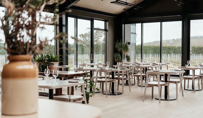 Casual Dining Plant