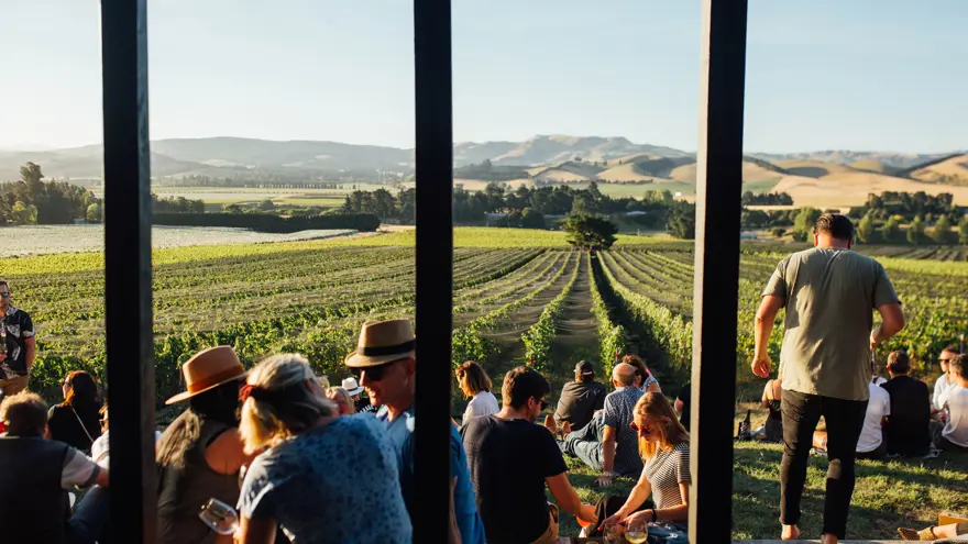 Black Estate Wines