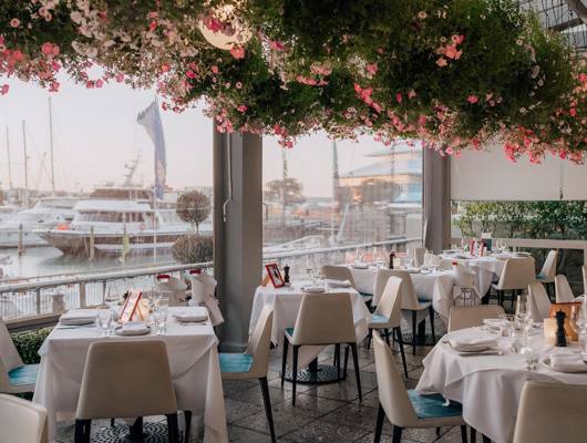 Five Auckland Eateries to Enhance Solo Dining