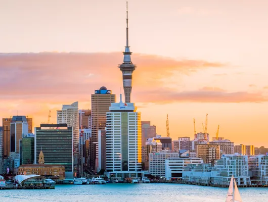 Set Menus in Auckland: Best Menus at Different Price Points