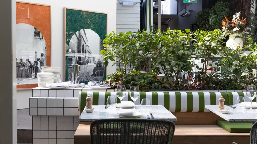 non-solo-pizza-parnell-courtyard-garden.png